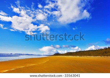 a mare in the wronge lands.(wild horse){any one alowed to post :D } Stock-photo-huge-sandy-ocean-beach-on-island-vancouver-on-a-midday-33563041