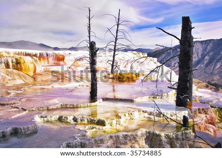 Fantastic pink landscape in Yellowstone national Park