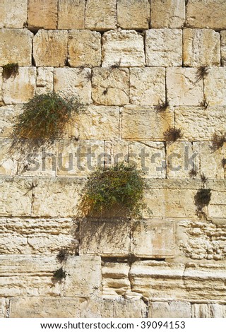 The western wall of the Jerusalem temple shined by the sun