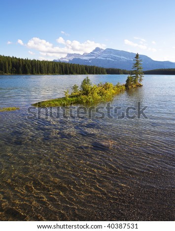 The small tree shined by the sun growing on a shallow of northern mountain lake in Canada