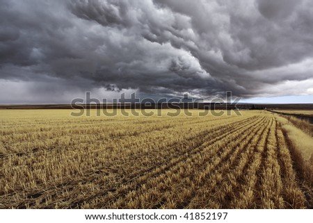 Thunder-storm above Montana. Fields after a harvest
