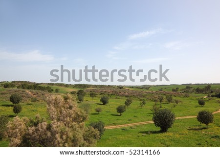 Clear spring day. The rural footpath crosses a meadow with green trees