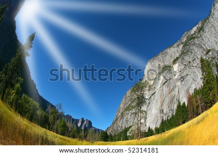 Magnificent glade with a yellow grass in valley Yosemite park, photographed by an lens 
