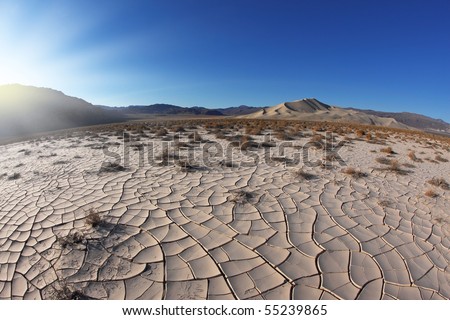 Sunrise in Death Valley. Dry brush on white cracked soil. Rhotograph Fisheye lens