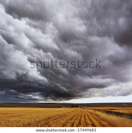 Thunderstorm above fields after harvesting. Montana, the USA