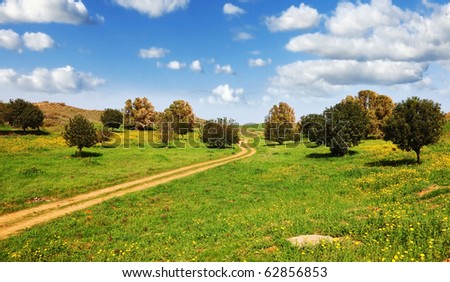 Magnificent cumulus clouds in the high spring sky. The rural footpath crosses a meadow with green trees