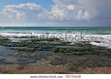 Flat shallow Mediterranean coast. Stones covered with algae in a tidal wave. Warm day in January