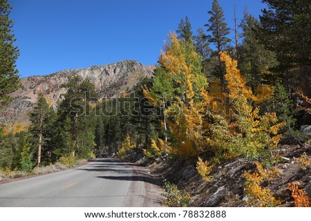 Sunny autumn afternoon. Excellent asphalt road among colorful autumn foliage.