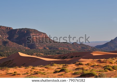 Reserve Coral Pink sand dunes in the U.S.. Elegant orange-pink dune spectacularly illuminated by the sunrise against the backdrop of jagged mountains.