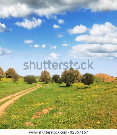 Magnificent cumulus clouds in the high spring sky. The rural footpath crosses a meadow with green trees
