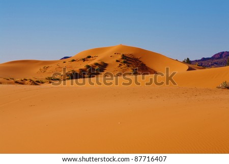 Reserve Coral sand dunes in the U.S.. The orange glow of the sand in the first rays of the sun