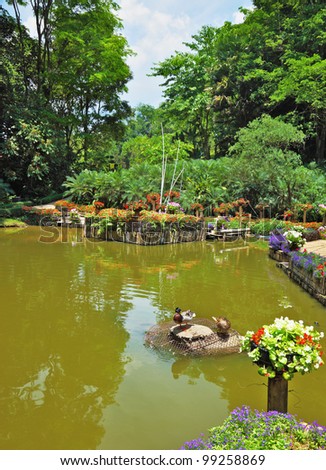 Wonderful quiet pond in the green tropical park. The pond is surrounded by flower beds