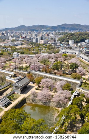 View from Himeji Castle, Japan. Overlooking the gardens filled with cherry blossoms.