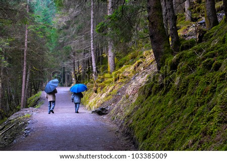 Two old people walking in the wood