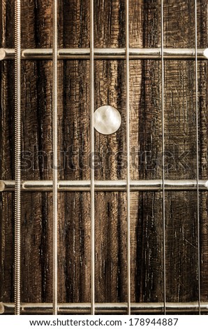 Detail close-up view of guitar strings and frets in vintage style