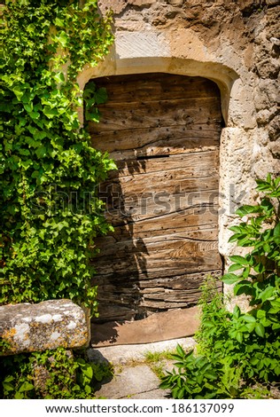 Detail of old wooden door in stone wall with green wine leaves