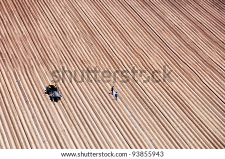 Agriculture field lines and two farmers with tractor