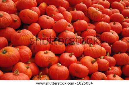 Pumpkins at New England farm-stand