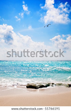 Sand and beach in front of Caribbean Ocean with two birds flying in the sky