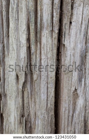 Timber texture.