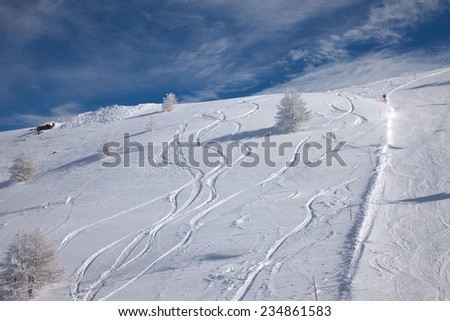 Snowboarders curves in the snow