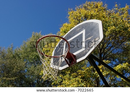 Basketball dunk in a park with trees in the autumn