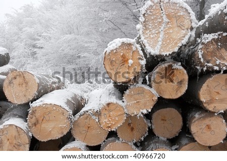 Photos Of Logs