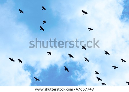 Crows flying against bright blue sky