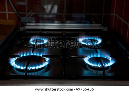 Natural gas flames of a kitchen stove