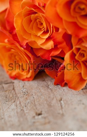 Bouquet of orange roses on wooden background. Shallow depth of field