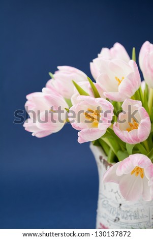 Bouquet of pink tulips in vase on dark blue background
