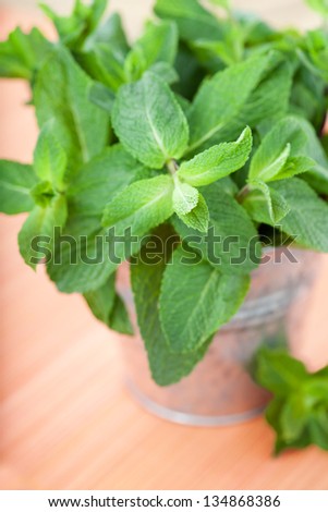 Bunch of fresh mint in pot on orange background