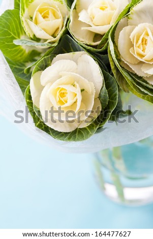 White decorative cabbage flowers in vase on light blue background