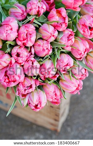 Bouquet of beautiful pink tulips in wooden box