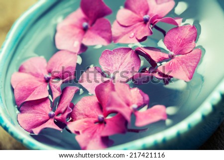 Bowl of water with pink hydrangeas. Spa concept