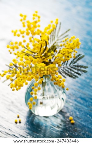 Bouquet of mimosa (silver wattle) in vase on wooden background