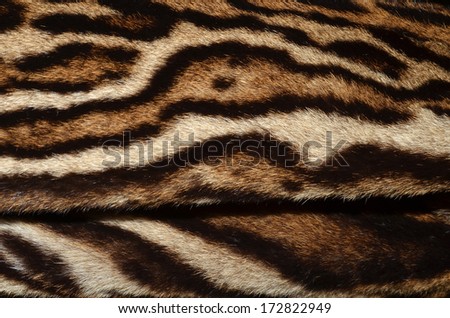 clouded leopard skin pattern
