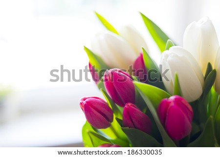 A bunch of Tulips.