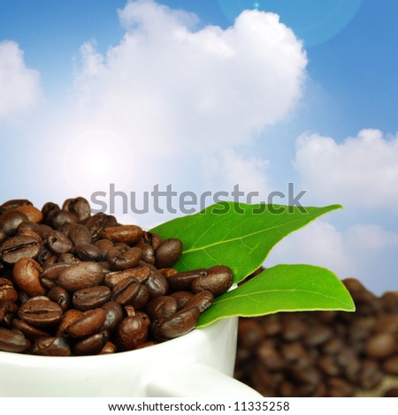 Fresh coffee concept.