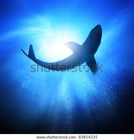 Deep under the ocean, looking up towards a shark.