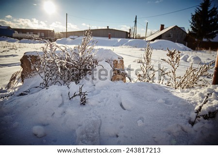 Landscape With Winter Forest And Bright Sunbeams. Sunrise, Sunset In Cold Snowy place