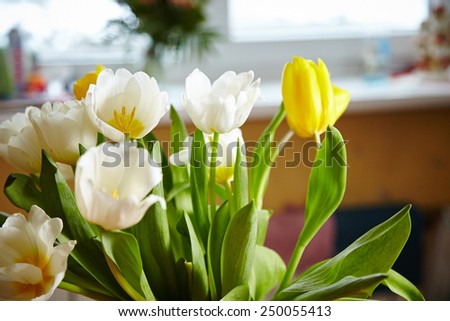 Yellow and white tulips. LOve. Flowers with love. Gift.