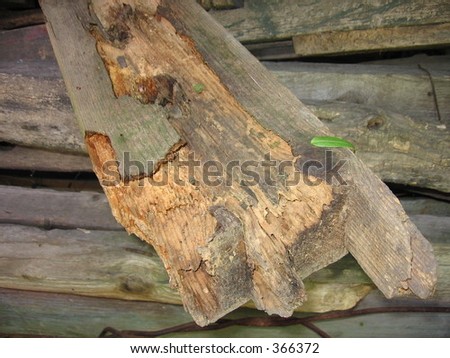 Wood part