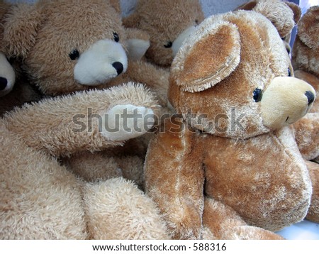 Cute bears