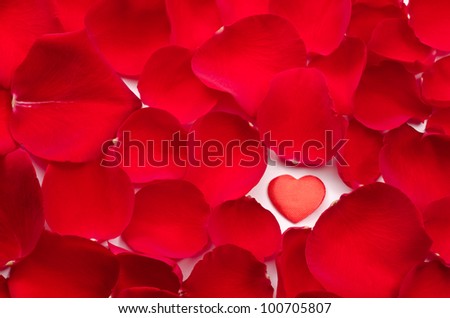 One heart in rose petals all over background