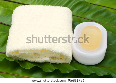 Soap and yellow on the green fern leaves
