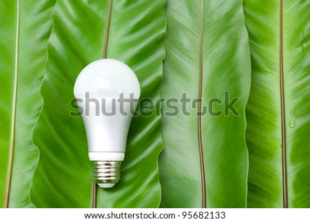 LED light bulb on the green fern leaves