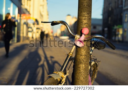 Bicycle with a pink signal in a tree on the street. Riga, Latvia
