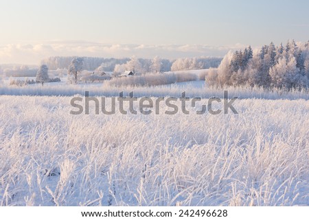 Rural winter landscape with white frost on the field of timber and lush clouds