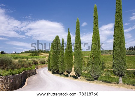 Typical landscape of Tuscany